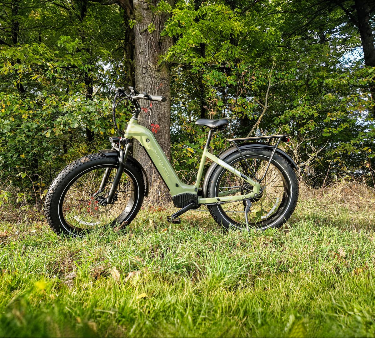 Basalt ST 2.0 Ebike - Image 2