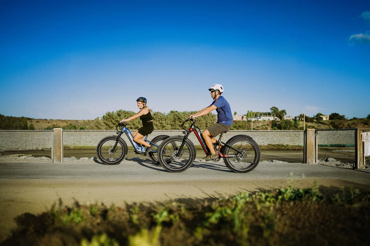 Obsidian ST 2.0 Ebike - Image 4