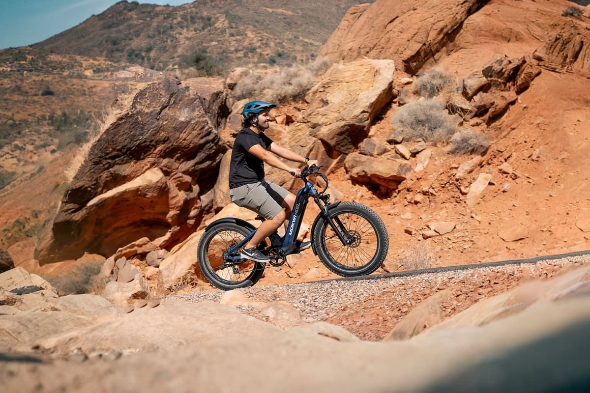 Obsidian ST 2.0 Ebike - Image 3