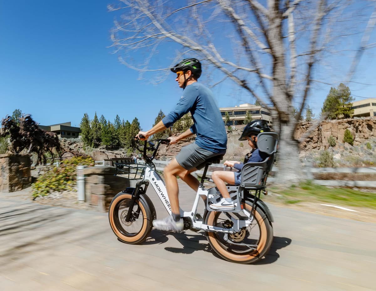 Scoria Ebike - Image 3