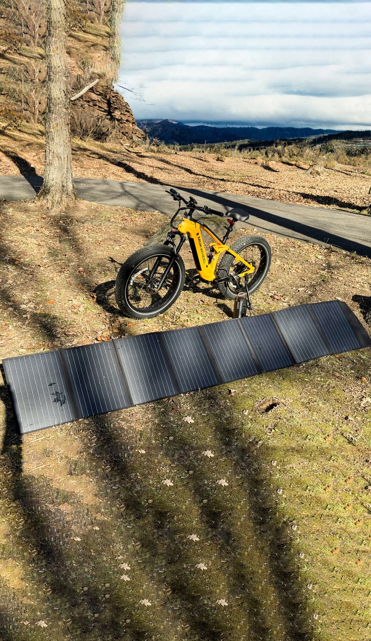 Mokwheel Obsidian e-bike