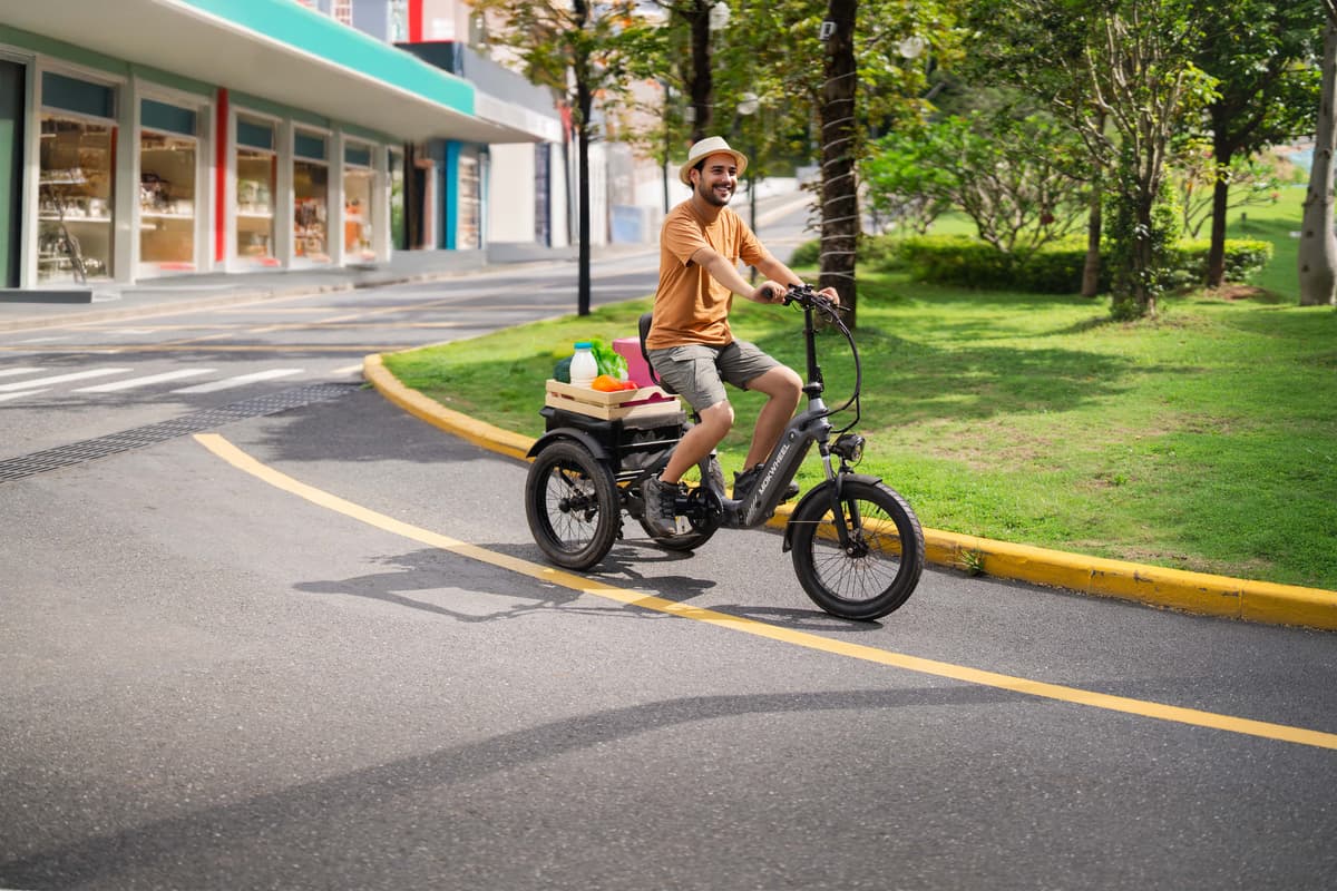 Granite E-Trike - Image 2