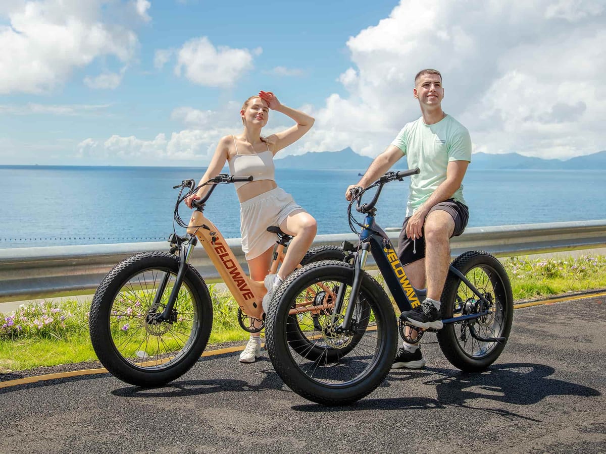 Rover Step-Thru Electric Bike - Image 4